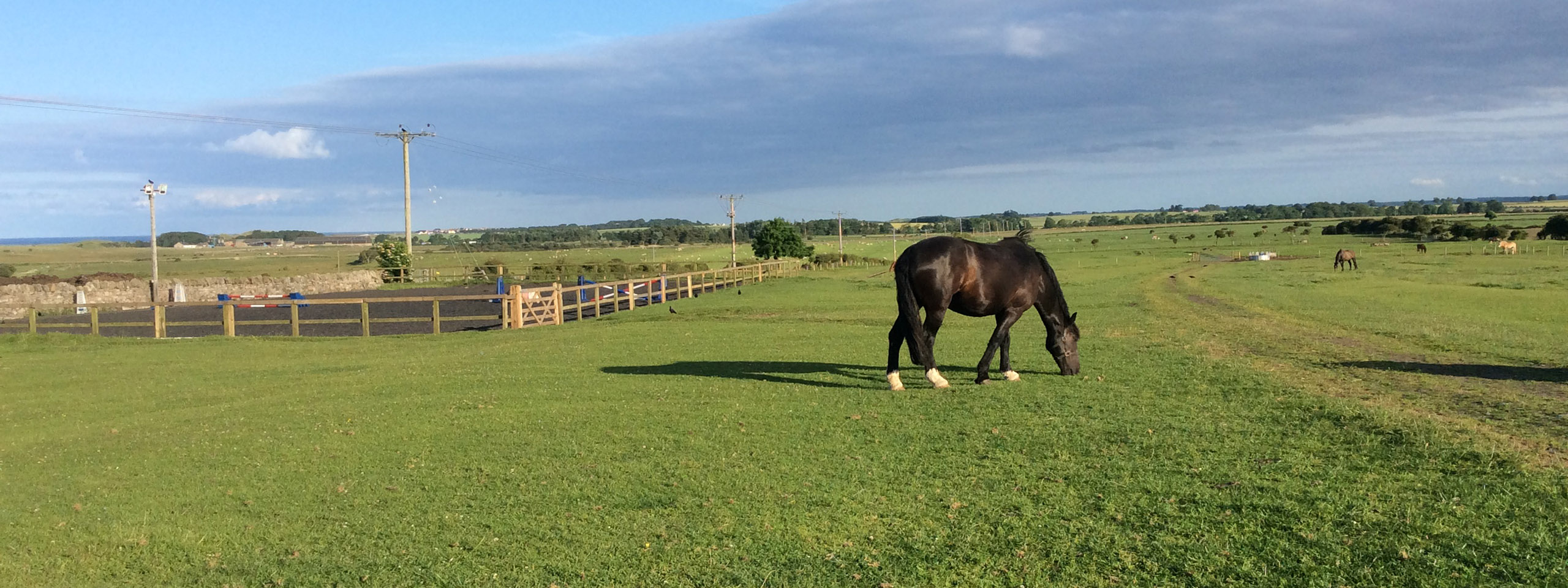 70 acres of Grazing