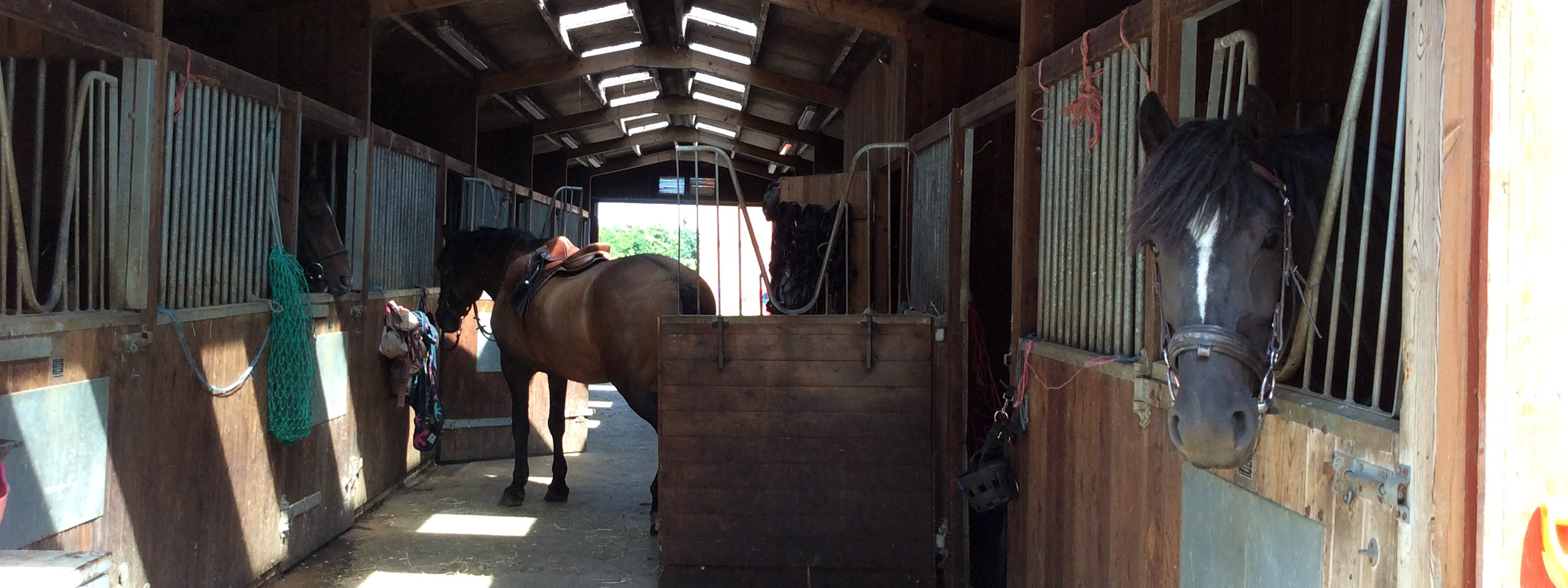 Stables & Stalls